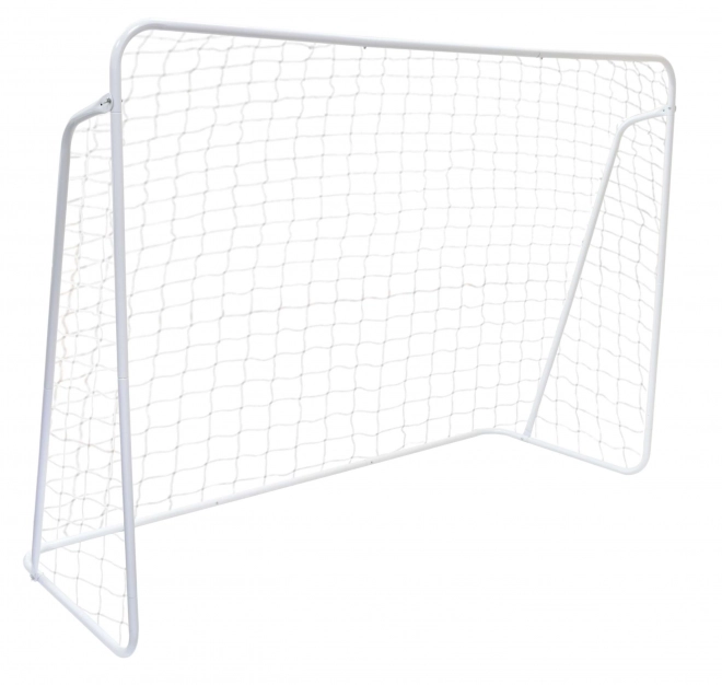 But de football avec filet 240x160cm ECOTOYS