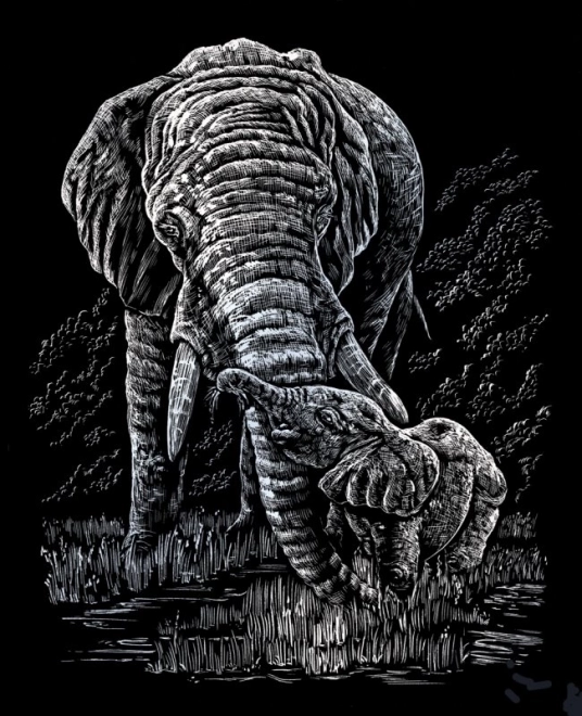 ROYAL & LANGNICKEL Illustrations à gratter en bloc Animaux sauvages