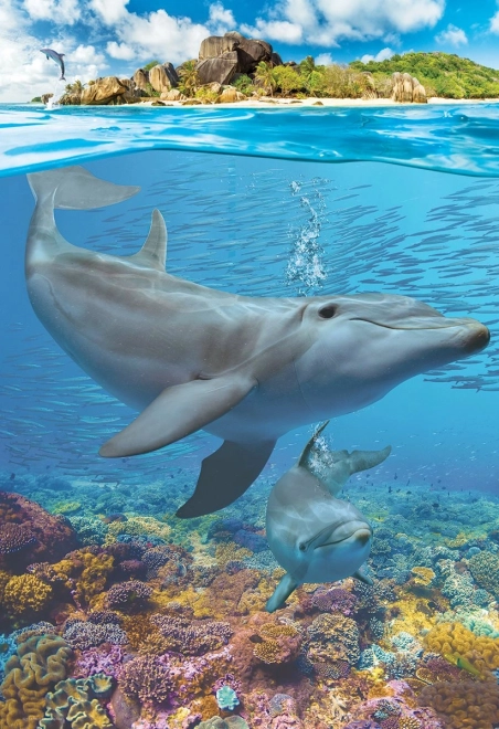 Eurographics Puzzle Dauphins XL 250 pièces