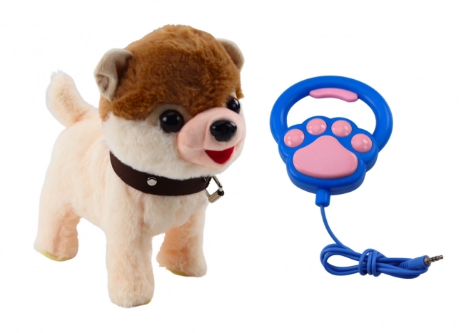 Chien interactif en laisse