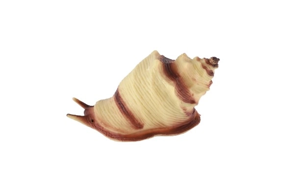 Animaux marins en plastique avec accessoires