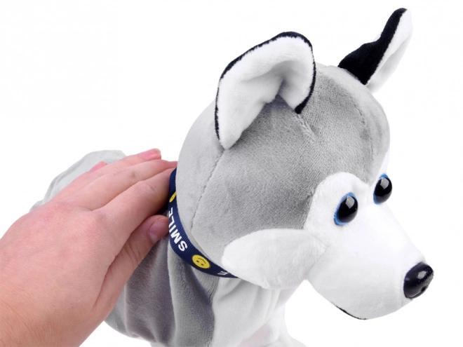 Chien Husky en peluche interactif