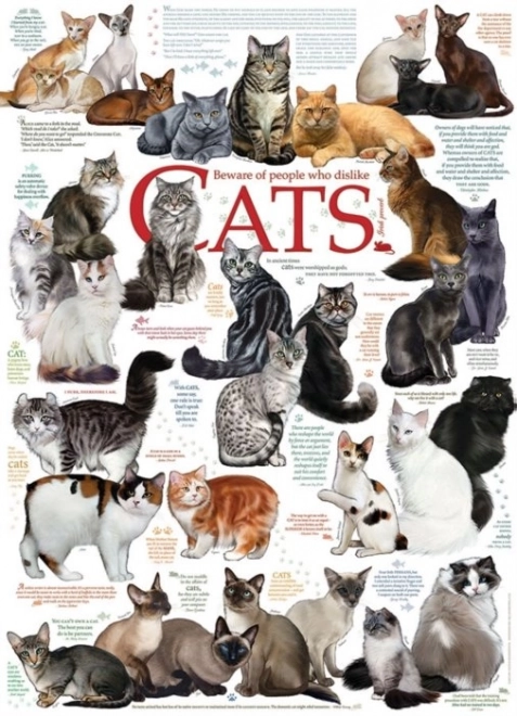Puzzle COBBLE HILL Blagues de chats 1000 pièces