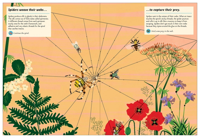 Livre d'activités créatif avec autocollants - Animaux ingénieux