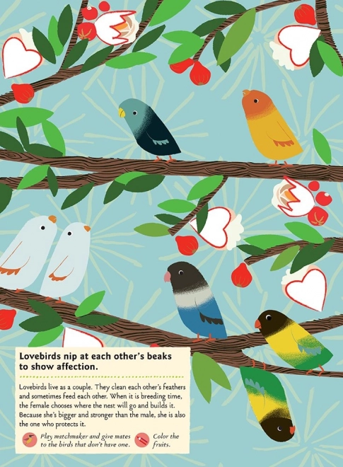 Chronicle Books Livre d'activités autocollants ma nature Oiseaux du monde