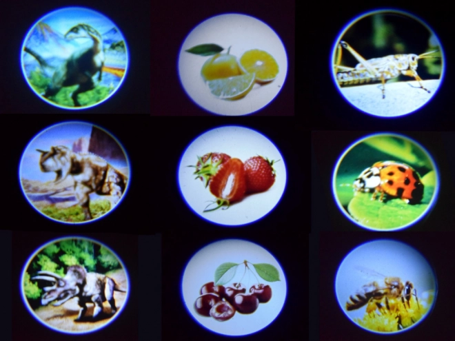 Projecteur pour enfants avec lanterne et 24 images