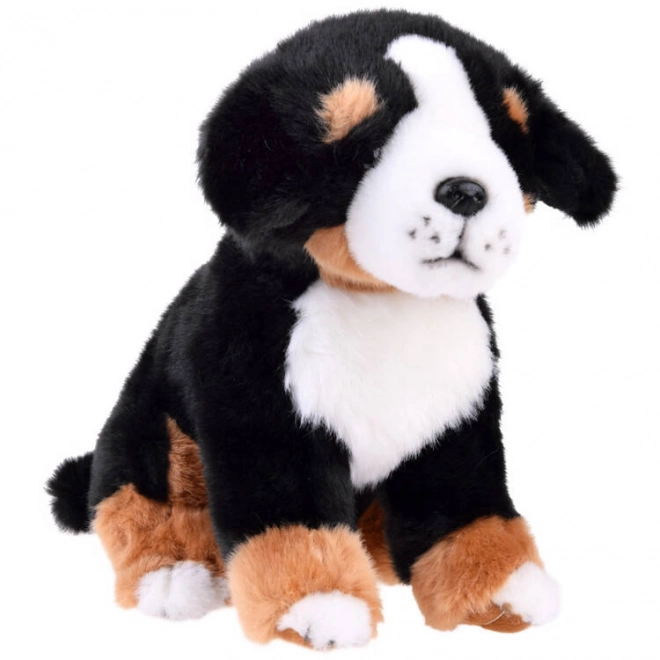 Chien en peluche Bouvier bernois - assis 20 cm
