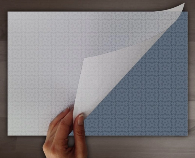 JIG&PUZ Feuilles adhésives pour puzzle jusqu'à 3000 pièces