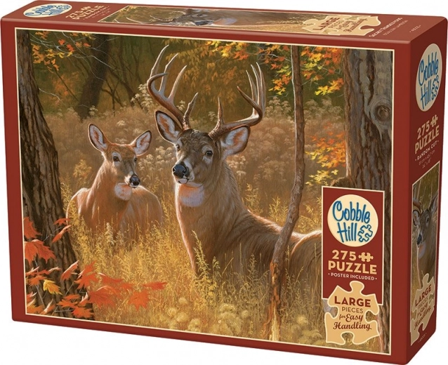 Édition Easy Handling + poster modèle