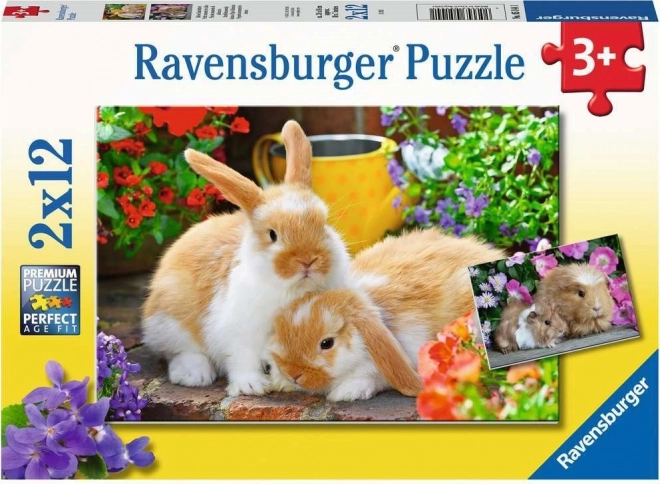 Puzzle Ravensburger Temps de câlins 2x12 pièces
