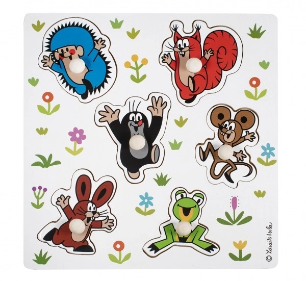 Puzzle à encastrer en bois Detoa Krteček petit