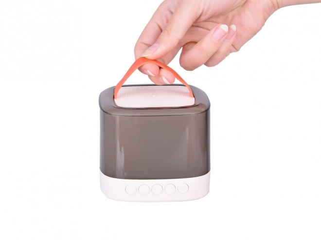 Microphone avec haut-parleur sans fil et Bluetooth