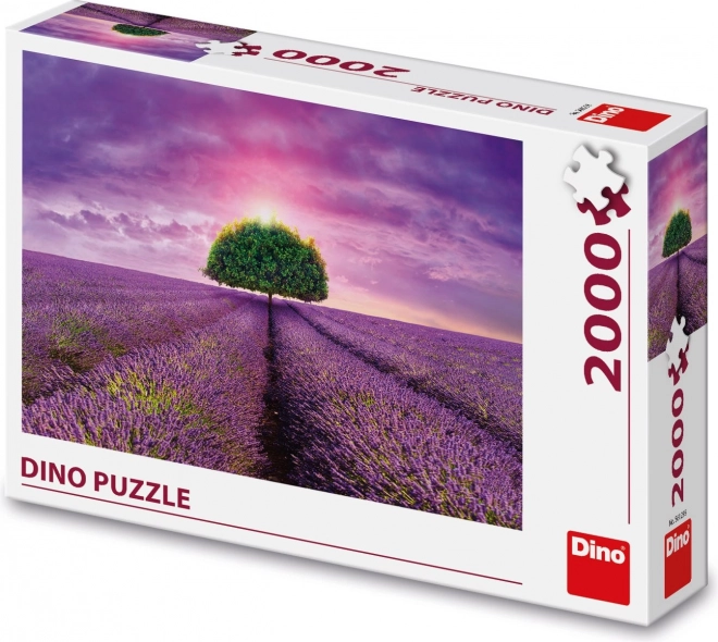 Puzzle Champ de Lavande 2000 pièces
