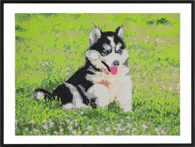 GRAFIX Peinture au diamant Husky 40x50cm