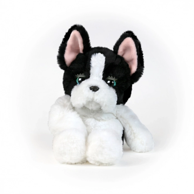 Animaux endormis chiot