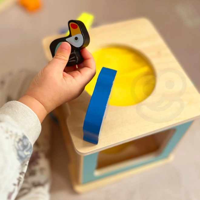 Boîte Montessori éducative pour enfants âgés de 31 à 36 mois
