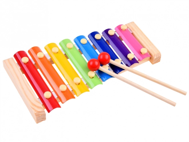 Jouets musicaux colorés IN0152