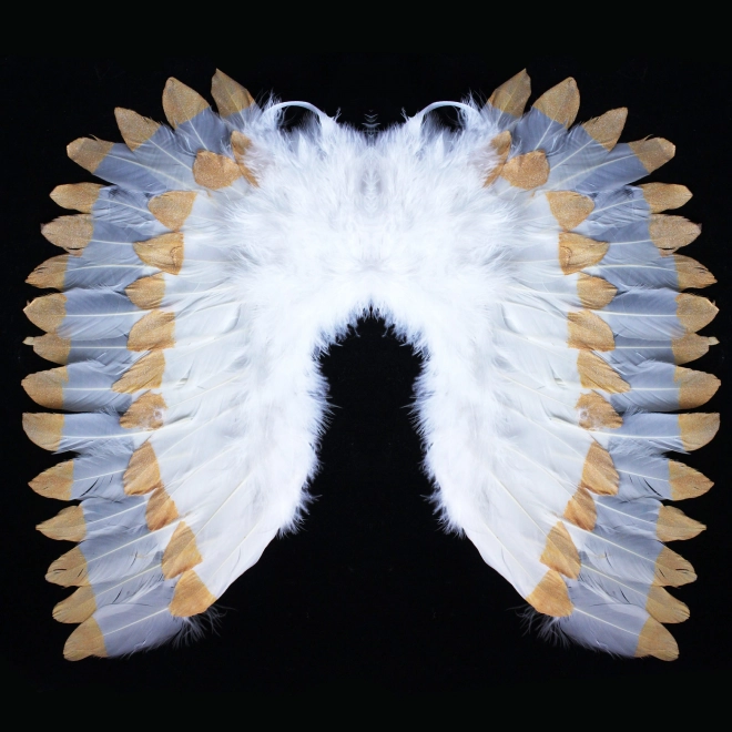 Ailes d'ange avec plumes blanc-doré