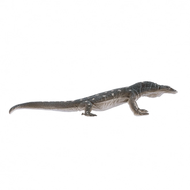 Mojo Varan géant