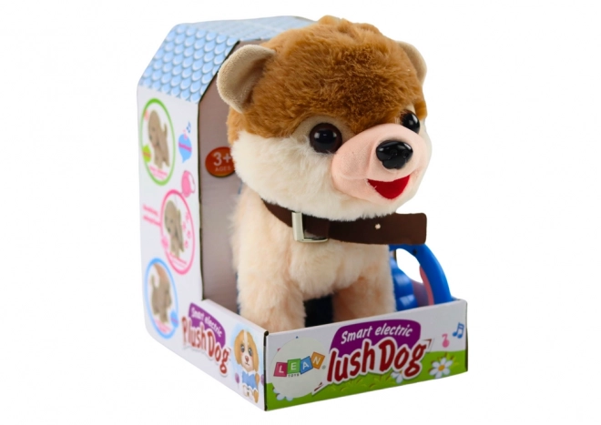 Chien interactif en laisse