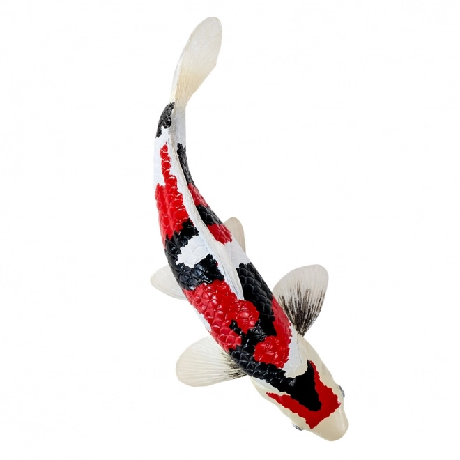 Mojo carpe koi showa sanshoku