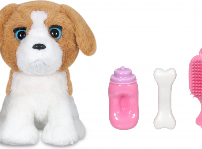 Set interactif chien