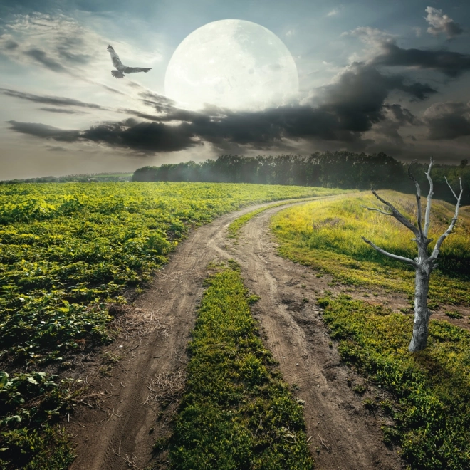Calendrier de notes Lune 2026