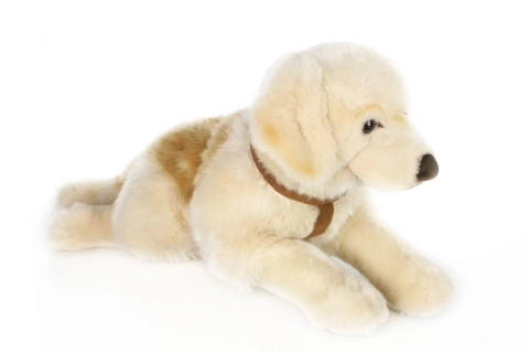 Retrievers en peluche pour câliner