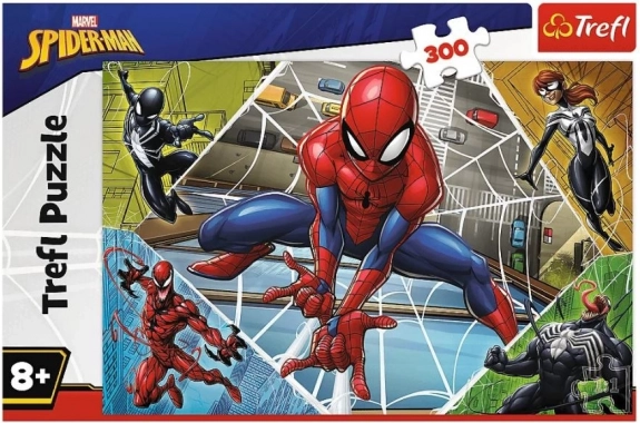 Visuel officiel MARVEL SPIDER-MAN