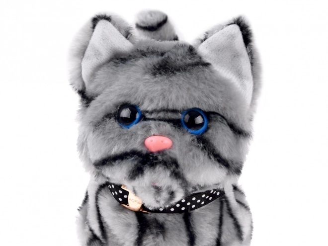 Chat interactif gris pour jouer