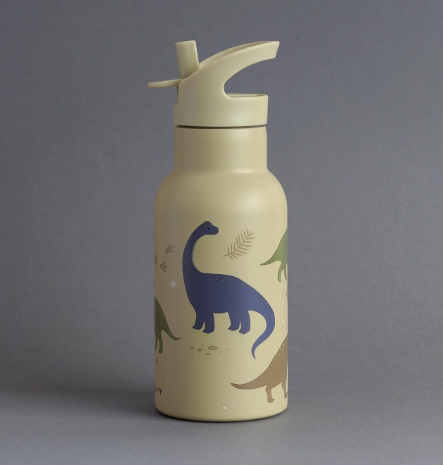 Gourde en acier inoxydable avec motif dinosaures - 350 ml