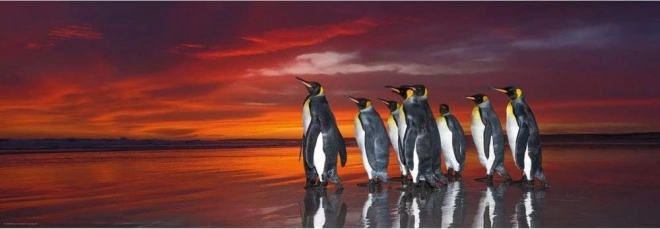 Puzzle 1000 pièces – manchots royaux