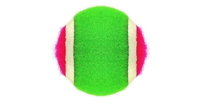 Jeu d'extérieur - Attrape balle avec balle à scratch