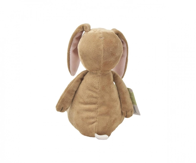 Arc-en-ciel Devine combien je t'aime ! Grand lapin en peluche