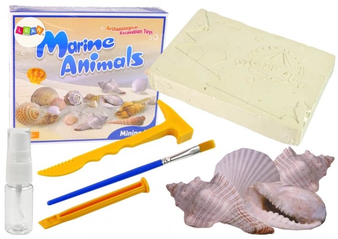 Ensemble de fouilles : Découverte d'animaux marins