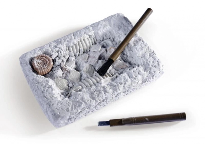 Kit pour déterrer et assembler des squelettes de dinosaures