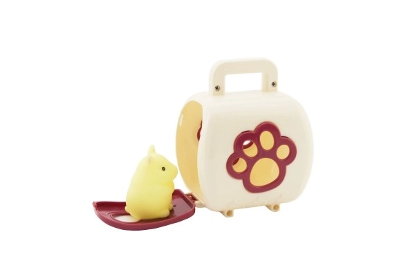 Petit animal dans une boîte de transport