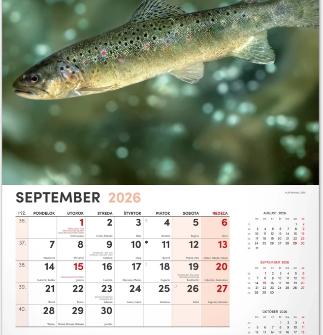 Calendrier mural Pêcheur 2026