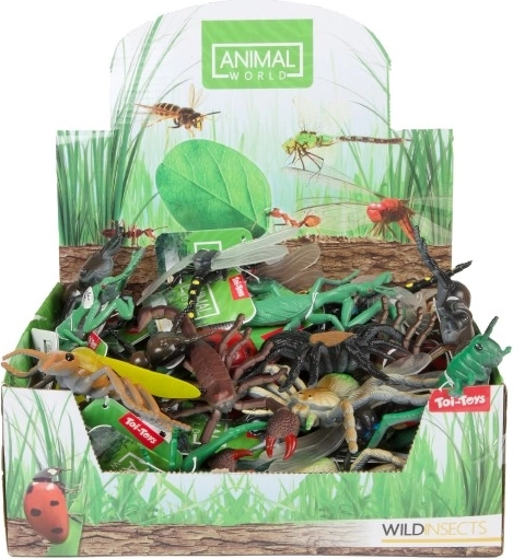 Modèles réalistes d'insectes pour apprendre en s'amusant