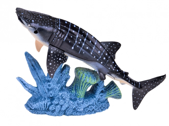 Ensemble d'animaux marins - tortue, homard, poisson-scie, crabe et plus