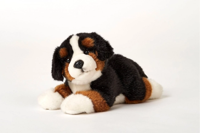 Chien de montagne bernois en peluche 25 cm