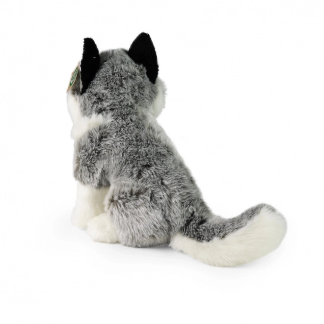 Husky en peluche 30 cm Eco-friendly