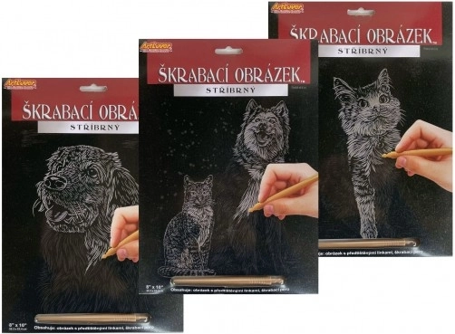 Image à gratter argentée pour enfants 20,3 × 25,4 cm, assortiment d’animaux