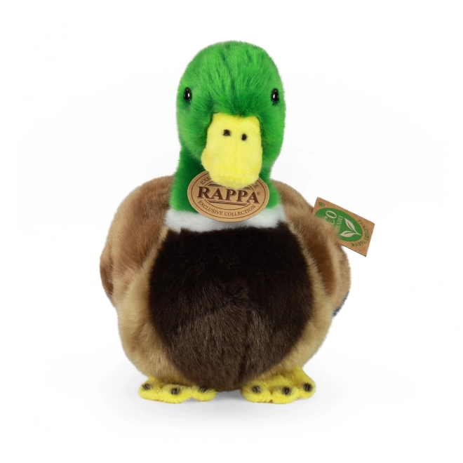 Apparence réaliste