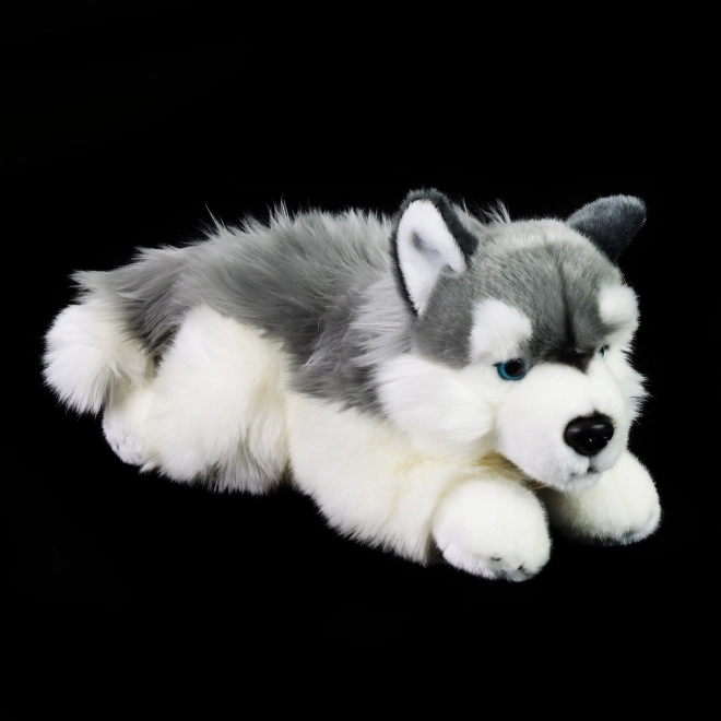 Rappa Peluche Husky couché 30 cm