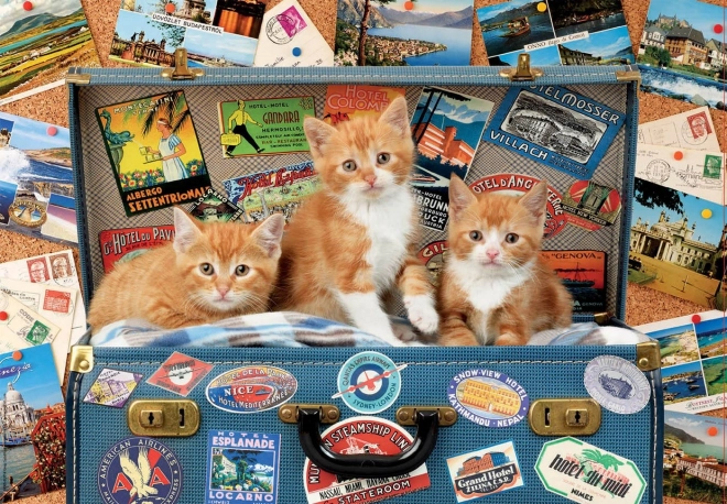 EDUCA Puzzle Chatons globe-trotters 200 pièces