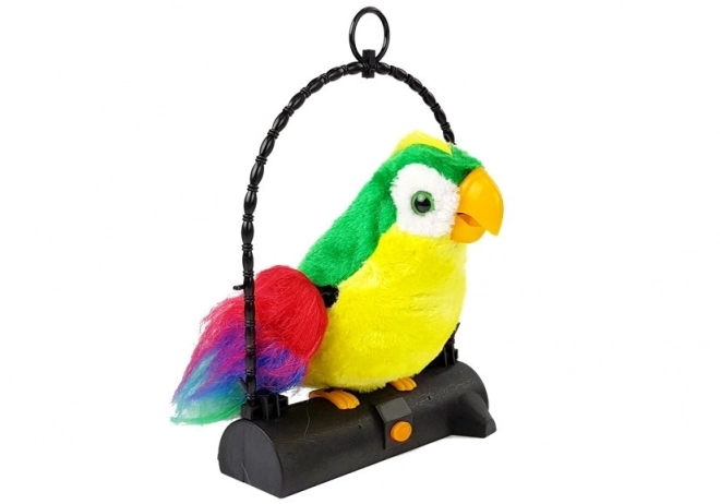 Perroquet Pleciuga, l'oiseau qui répète les mots, vert