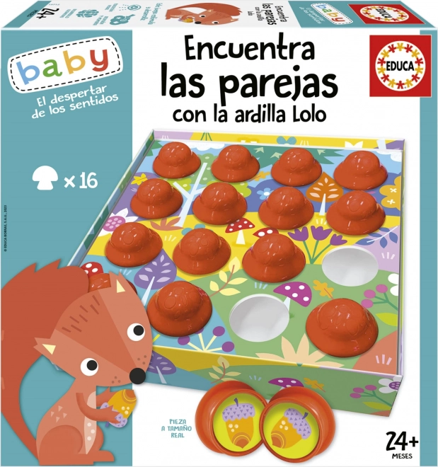 EDUCA Baby Trouve les paires avec l’écureuil Lolo