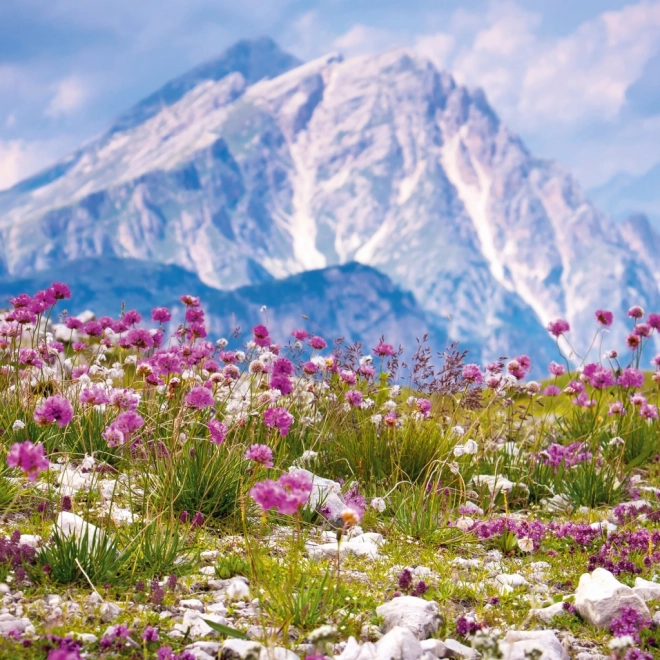 Calendrier de notes Alpes 2026