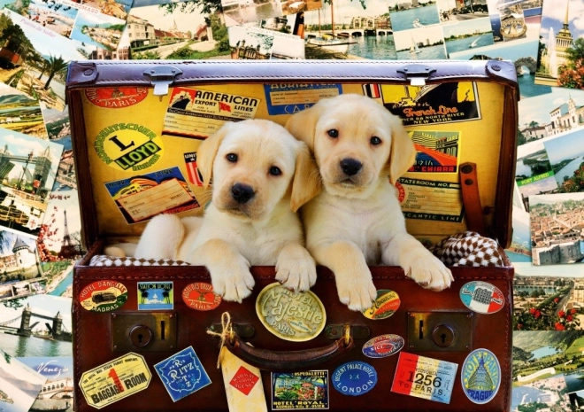 Puzzle Chiots globe-trotteurs 1000 pièces
